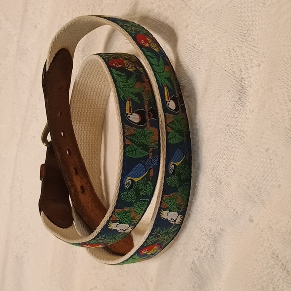 Parrot Rain forest belt 38 To 40 - Picture 3 of 5